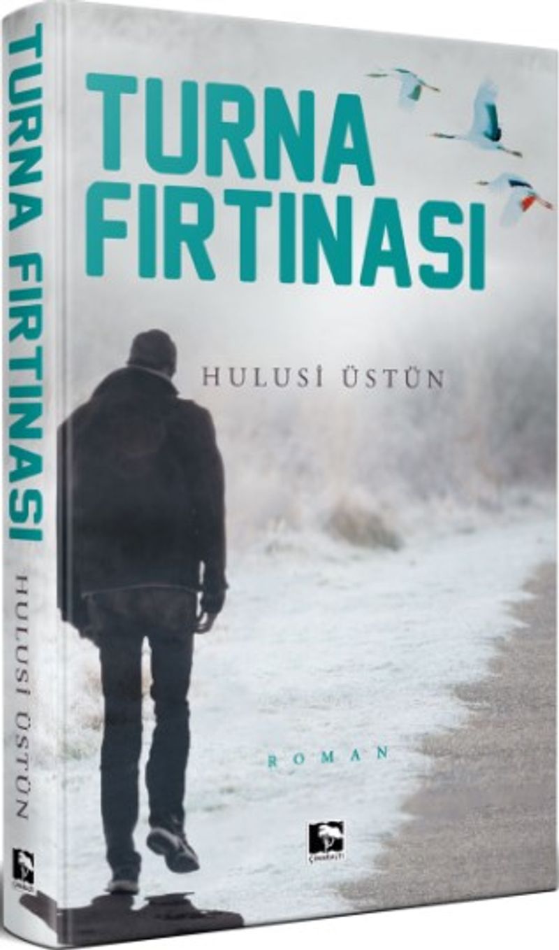 Turna Fırtınası kitap kapağı