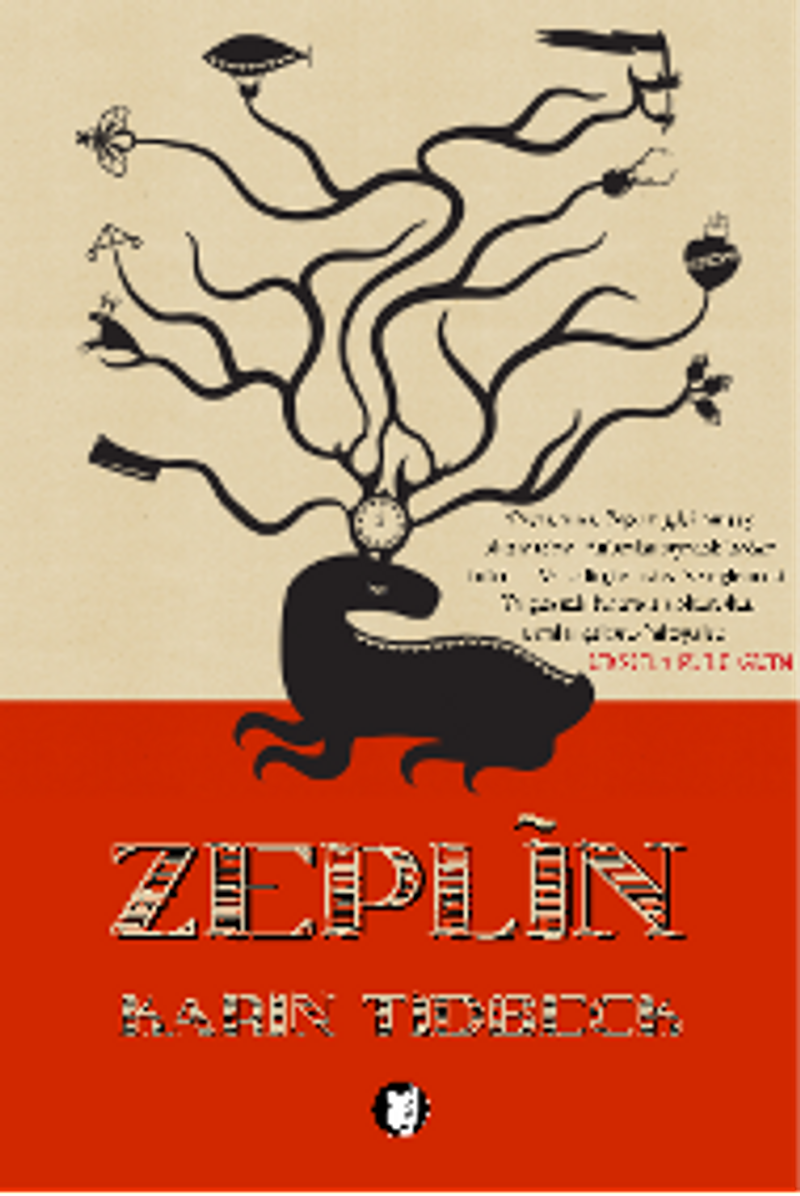 Zeplin kitap kapağı