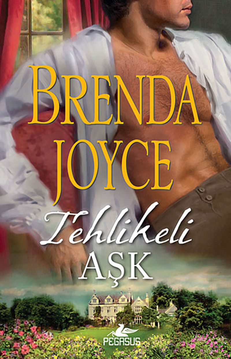 Tehlikeli Aşk kitap kapağı