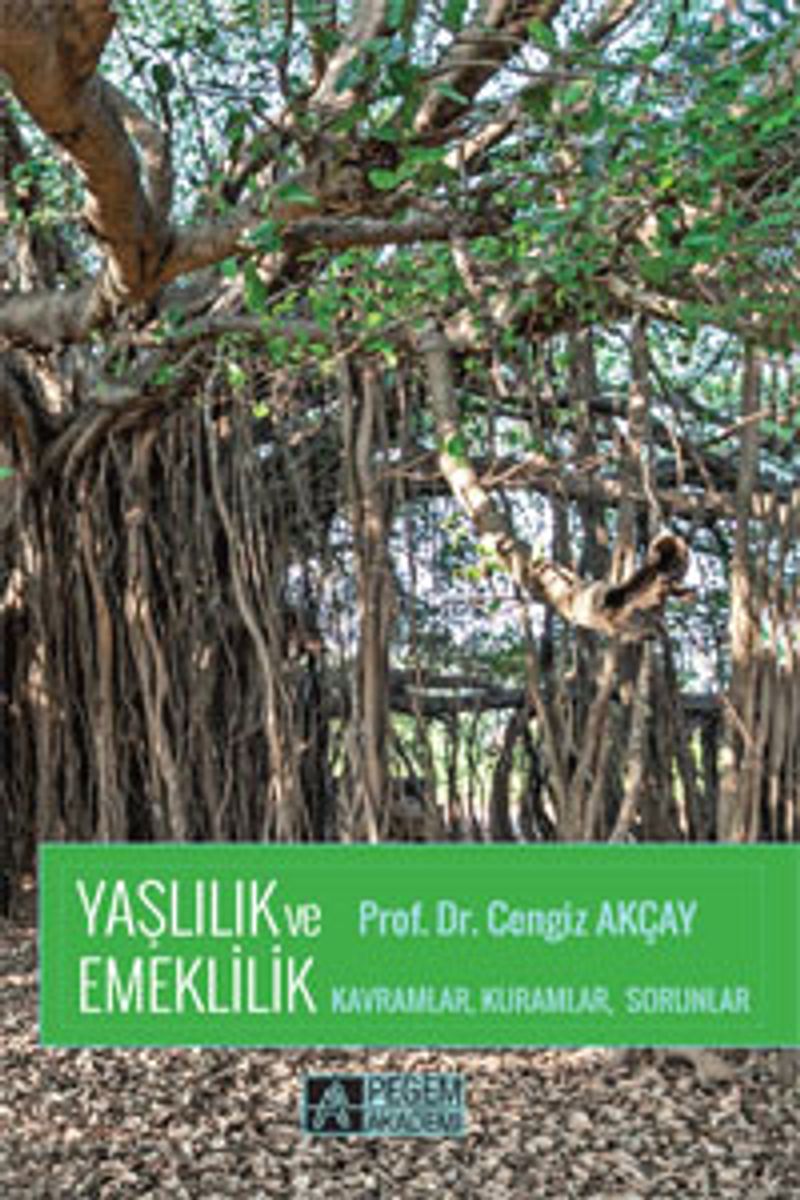 Yaşlılık ve Emeklilik Kavramlar, Kuramlar, Sorunlar kitap kapağı