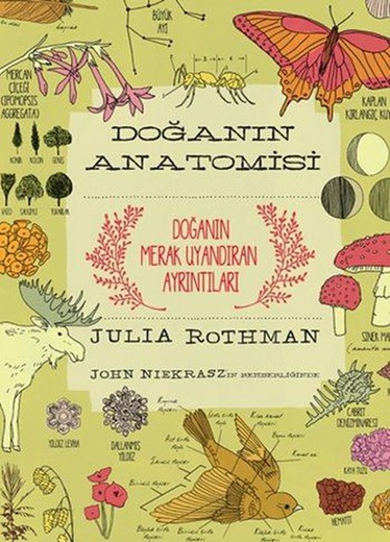 Doğanın Anatomisi kitap kapağı