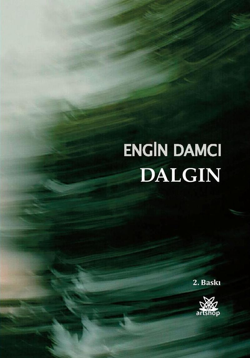 Dalgın kitap kapağı