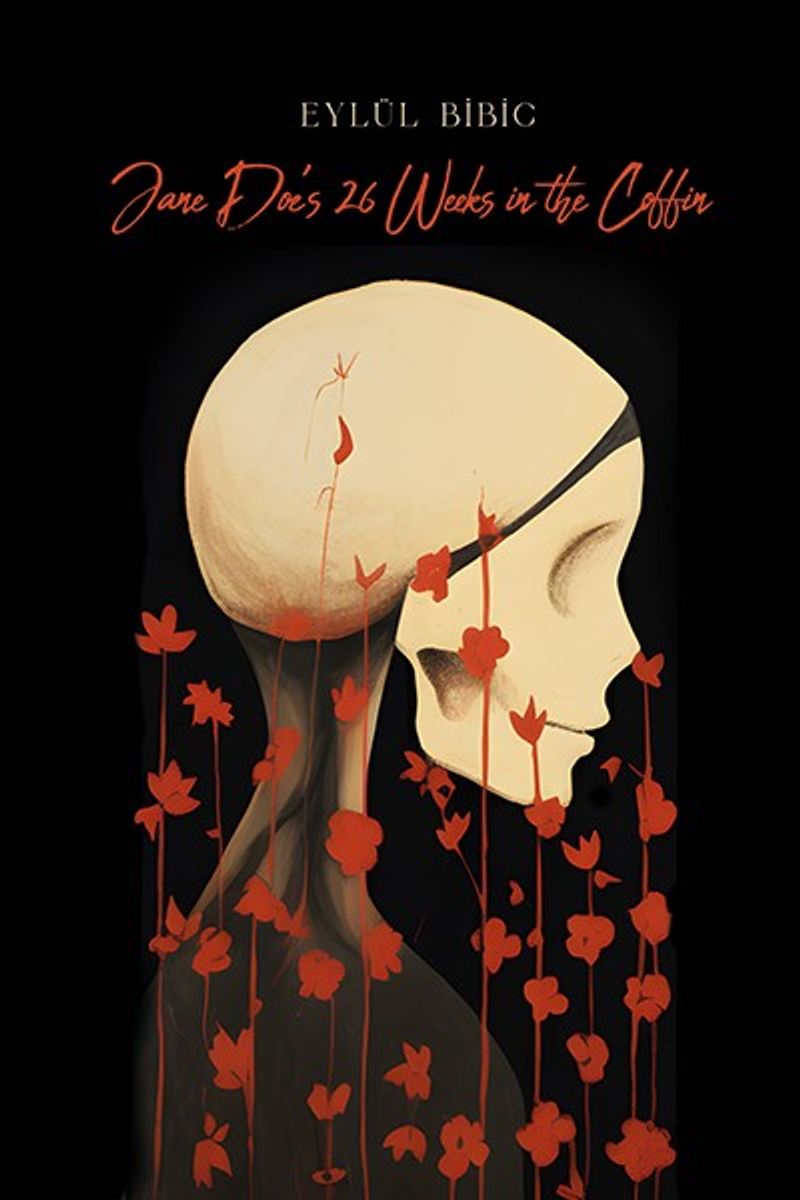 Jane Doe's 26 Weeks in the Coffin kitap kapağı
