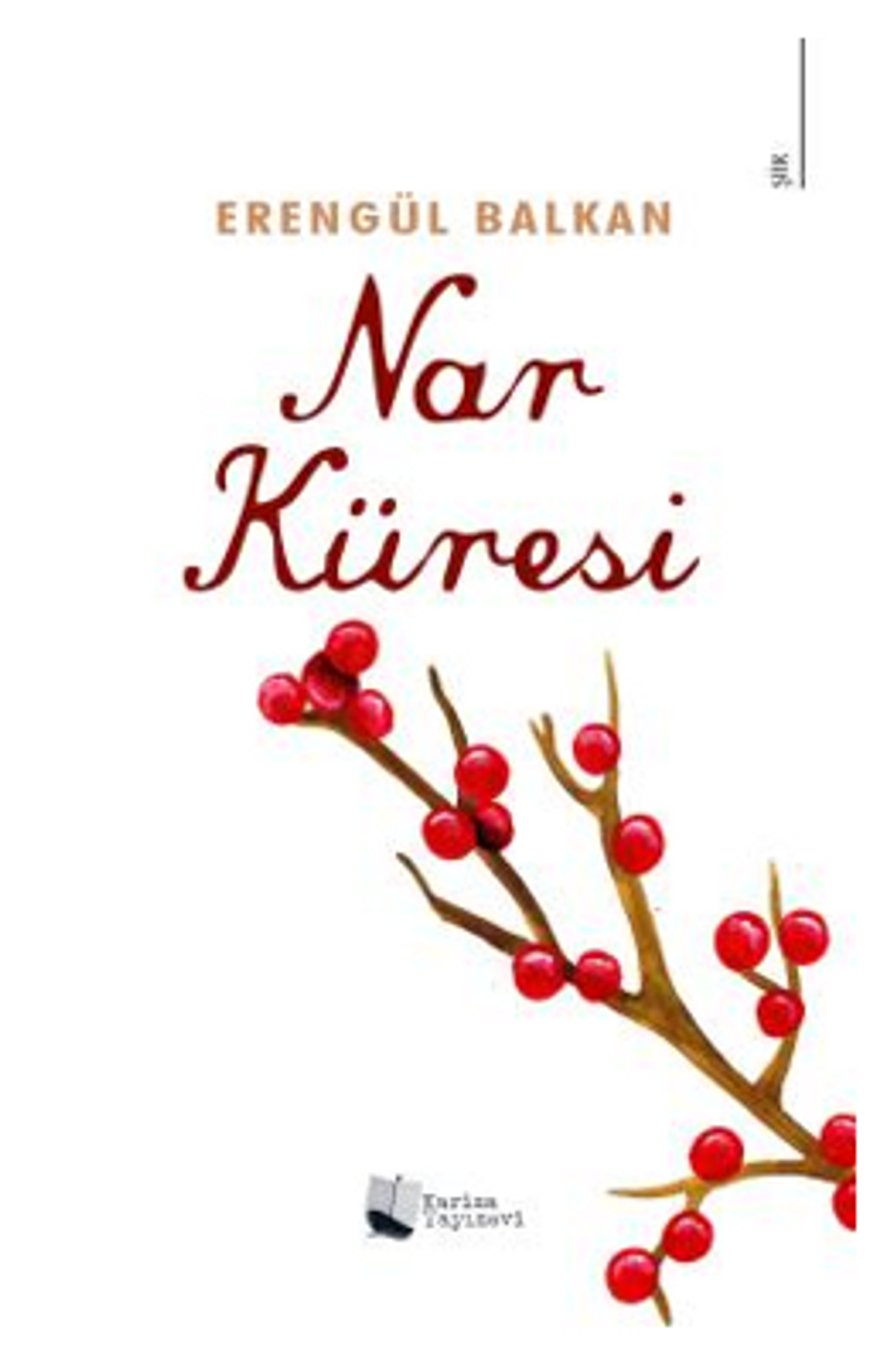 Nar Küresi kitap kapağı