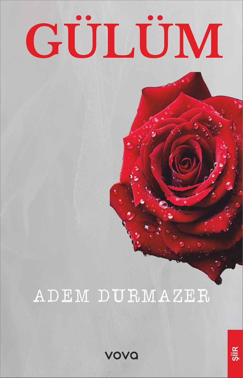 Gülüm kitap kapağı