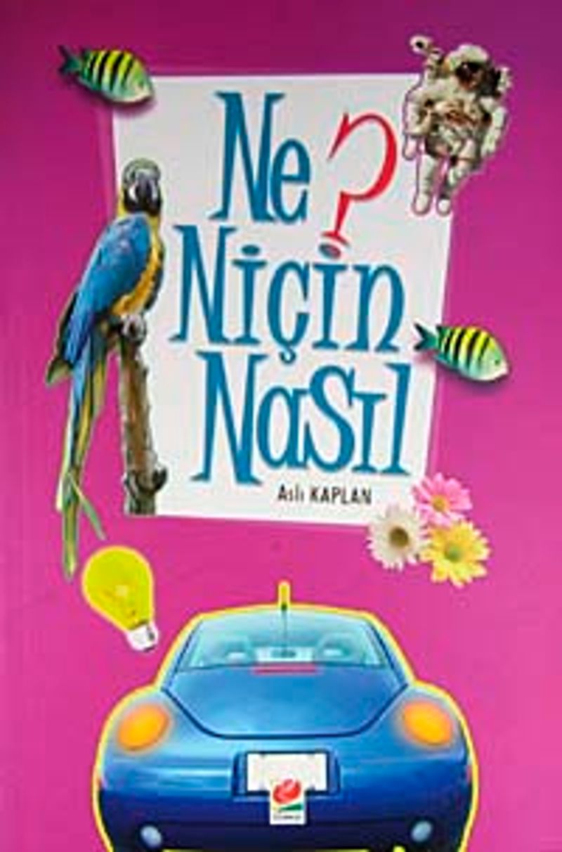 Ne? Niçin Nasıl- 1 kitap kapağı