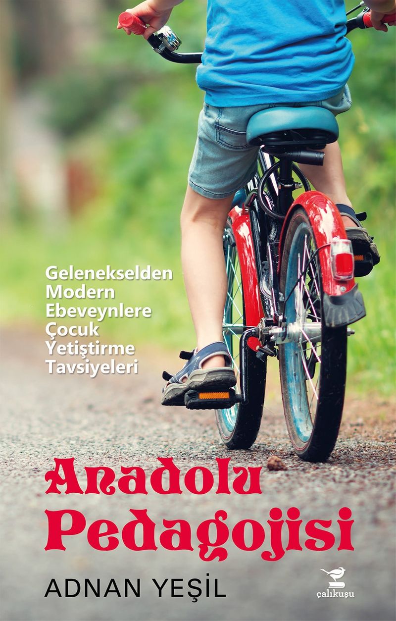 Anadolu Pedagojisi kitap kapağı
